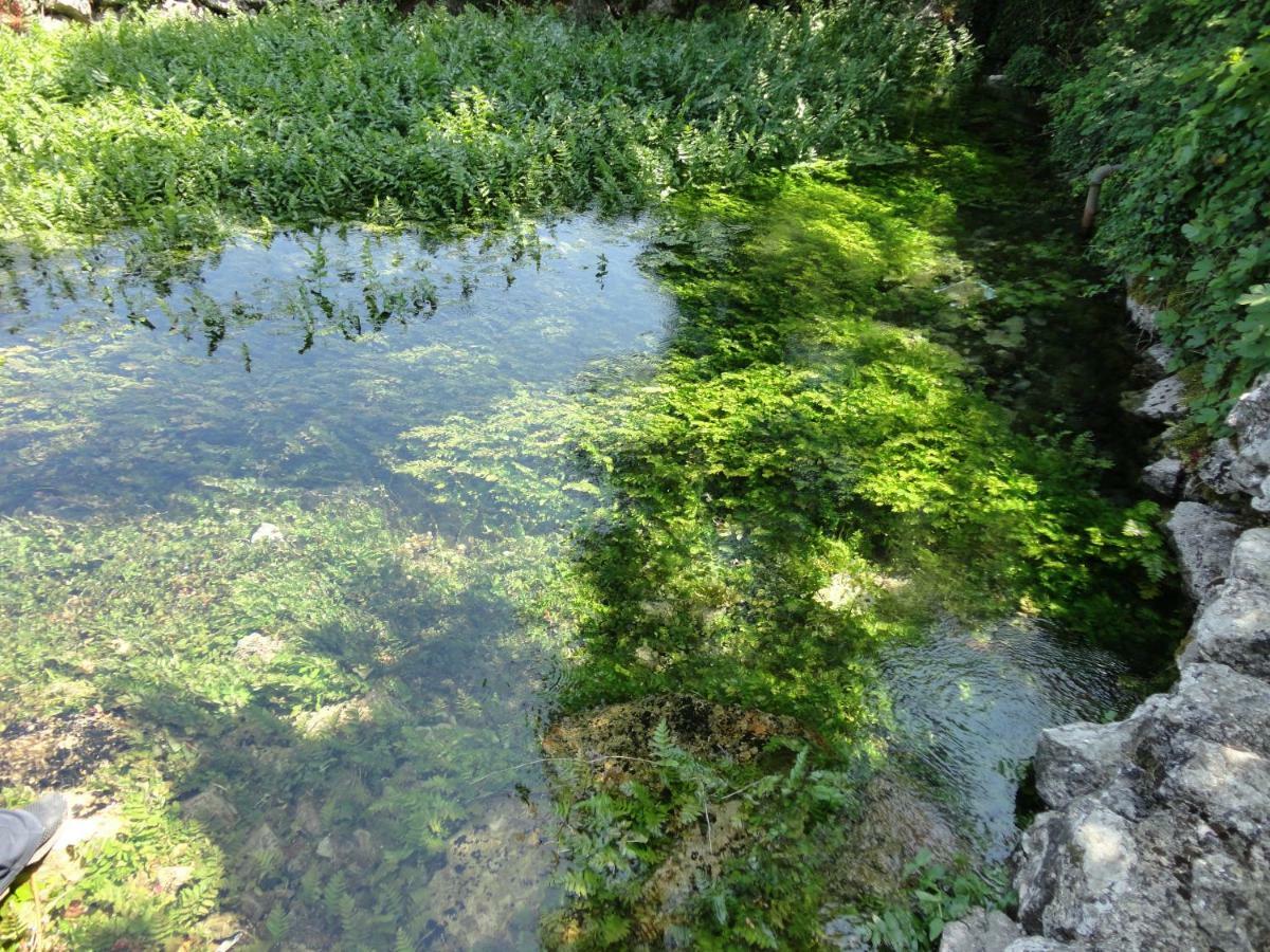 Villa Water Spring Hrvace Exterior foto